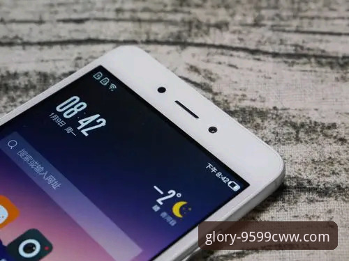 九五至尊9599cww手机登录评测最新动态：v2.5.1版本全面升级，新手也能轻松上手
